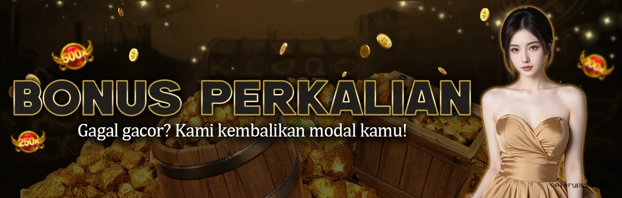 Celerypg App Android